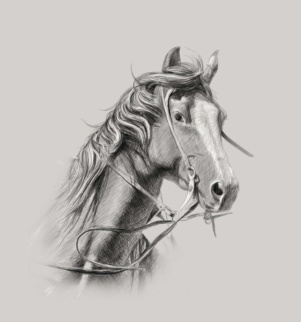 horse, wall decor, custom portrait-4006848.jpg